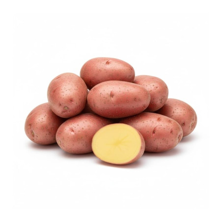 Pdt Alouette bio (15)