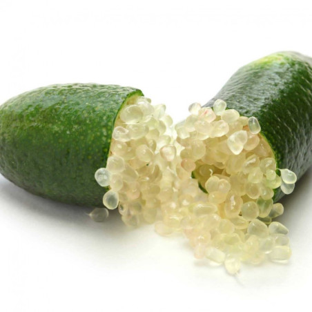 Citron caviar (1kg)