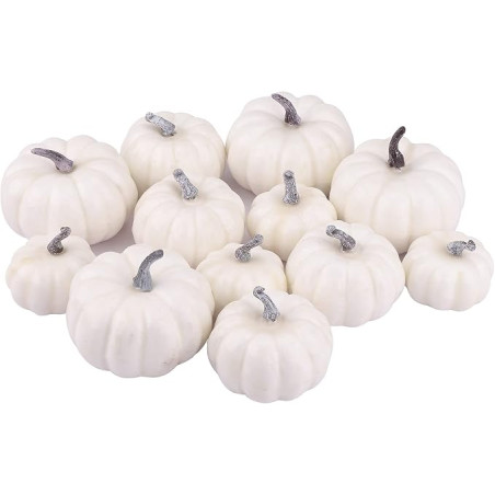 Potiron mini little jack blanc (12)