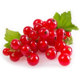 Groseilles rouges 500gr (10)