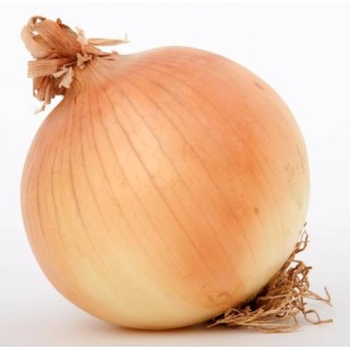 Oignon 1 kg (15)