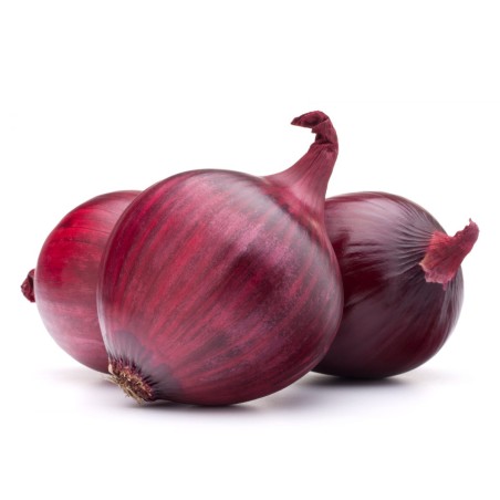 Oignon ROUGE 1kg (15)