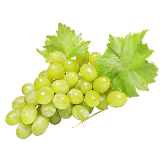 Raisin blanc ss pepins (6)