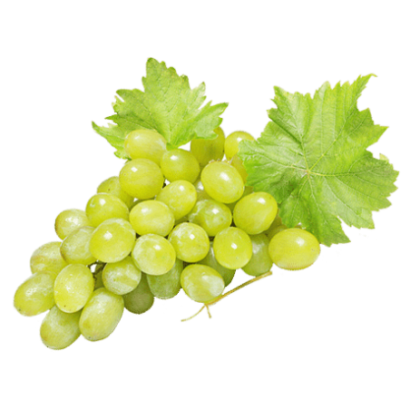 Raisin blanc ss pepins (6)