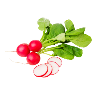Radis rouge rondelle 1kg