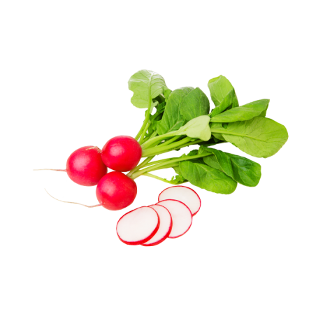 Radis rouge rondelle 1kg