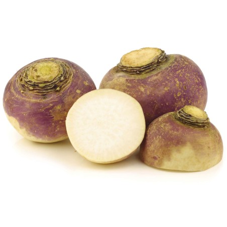 Rutabaga (15)