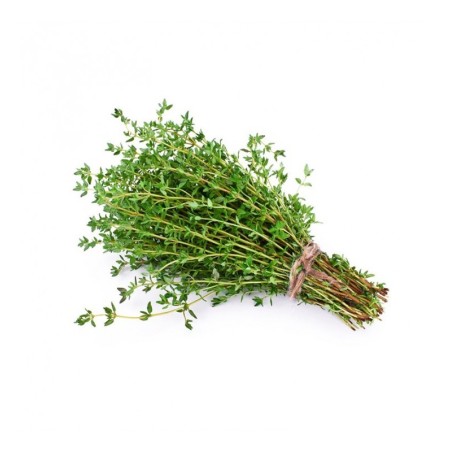 Thym ravier 20gr