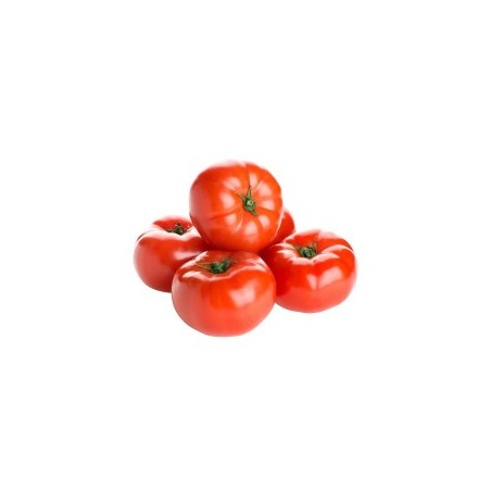 Tomate a farcir (7)