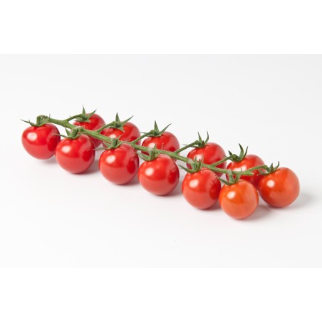 Tomate Cherrystar (3)