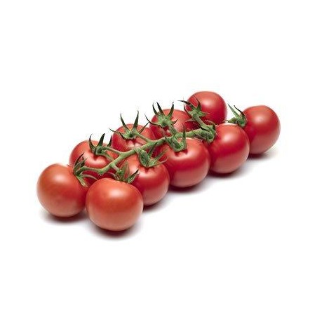 Tomate minitros C (4)
