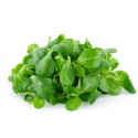 Ble 1kg