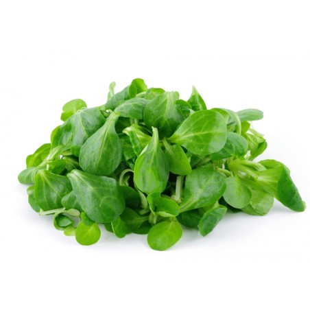 Salade ble 125gr ready to eat (8)