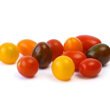 Tomate cerise mix (4)