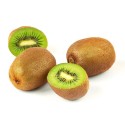 Kiwi Zespri VERT (93)