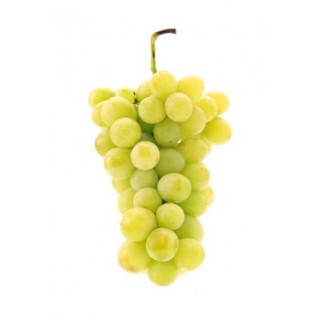 Raisin blanc italie (7)