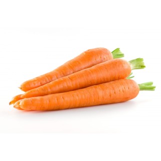 Carotte ravier 1kg