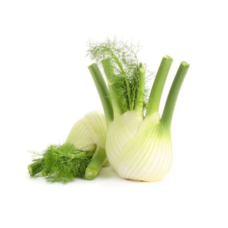 Fenouil (5kg)