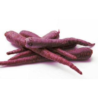 Carotte violette (5)