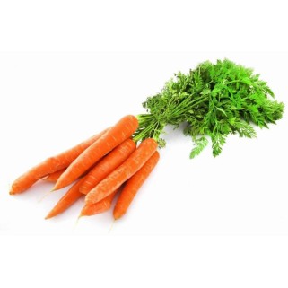Carottes bottes (12)