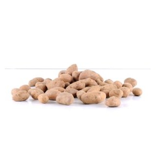 Pdt plate de Florenville 2,5kg