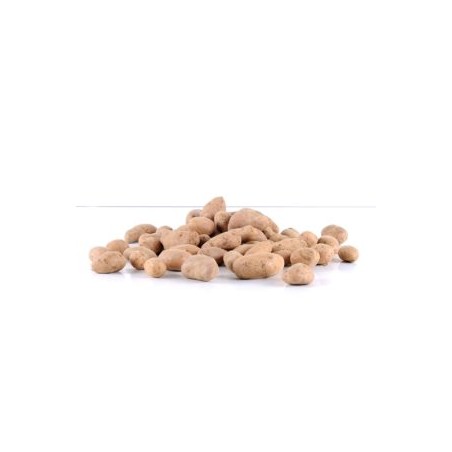 Pdt plate de Florenville 2,5kg
