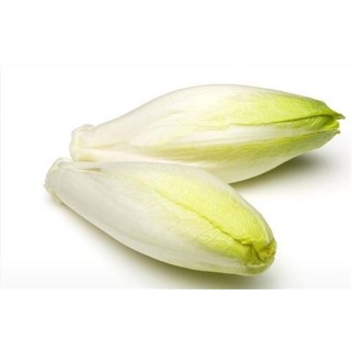 Salade de chicon vrac kg