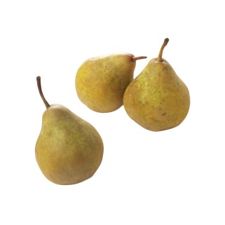 Poire wildeman (14)