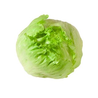 Salade iceberg (8)
