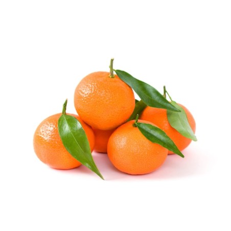 Clementine Orri  (10)