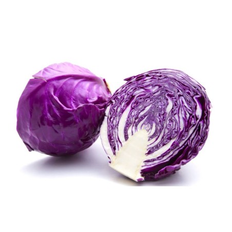 Choux rouge (6)