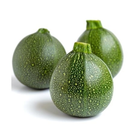 Courgette ronde (12)
