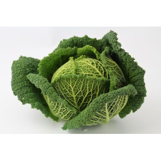 Choux vert (6)