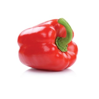 Poivron rouge (5)