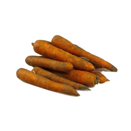Carotte non lavée 5kg