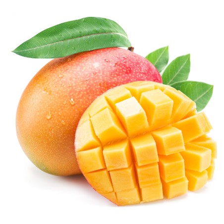 Mangue avion kent (11)