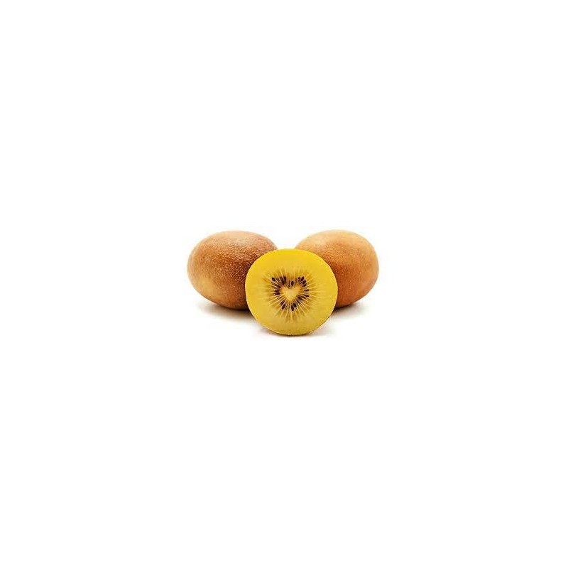 Kiwi Jaune Zespri (44)