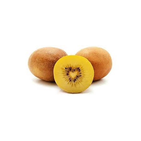 Kiwi Jaune Zespri (44)