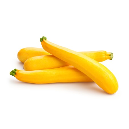 Courgette jaune (14)