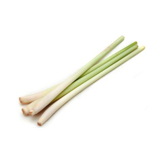 Citronnelle baton