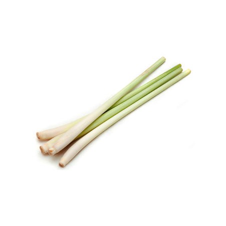 Citronnelle baton