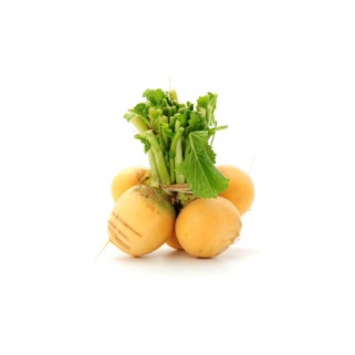 Navet jaune botte (8)