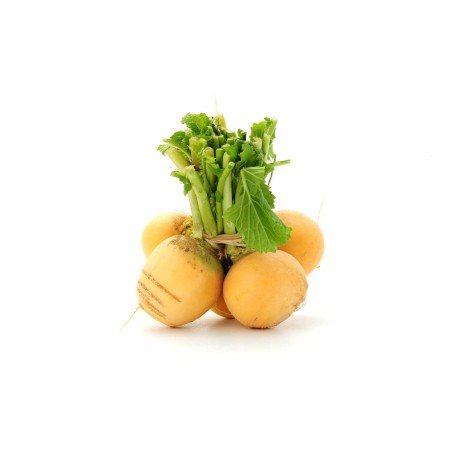Navet jaune botte (8)