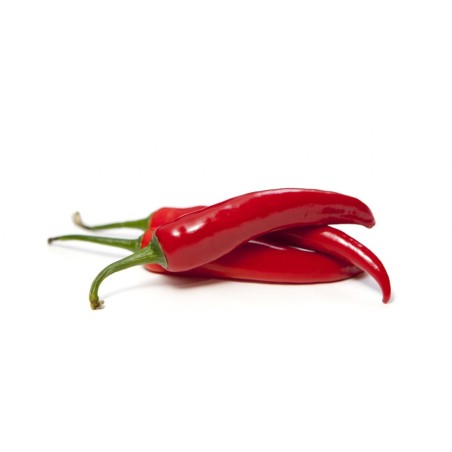 Piment rouge (4)