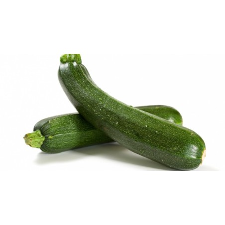 Courgette bio local wallon (15)