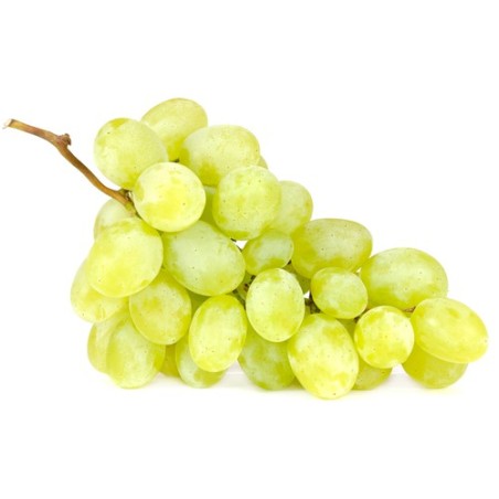 Raisin blanc ss pepins (5)