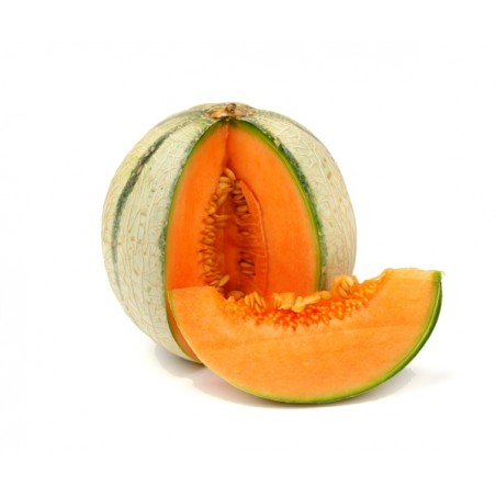 Melon charentais (11)