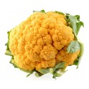 Chou fleur orange (6)