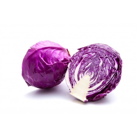 Choux rouge bio (4)