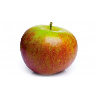 Pomme Cox (11)